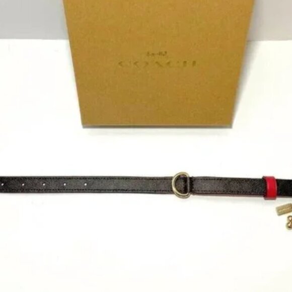 Coach Dog Collar SMALL - Picture 3 of 3